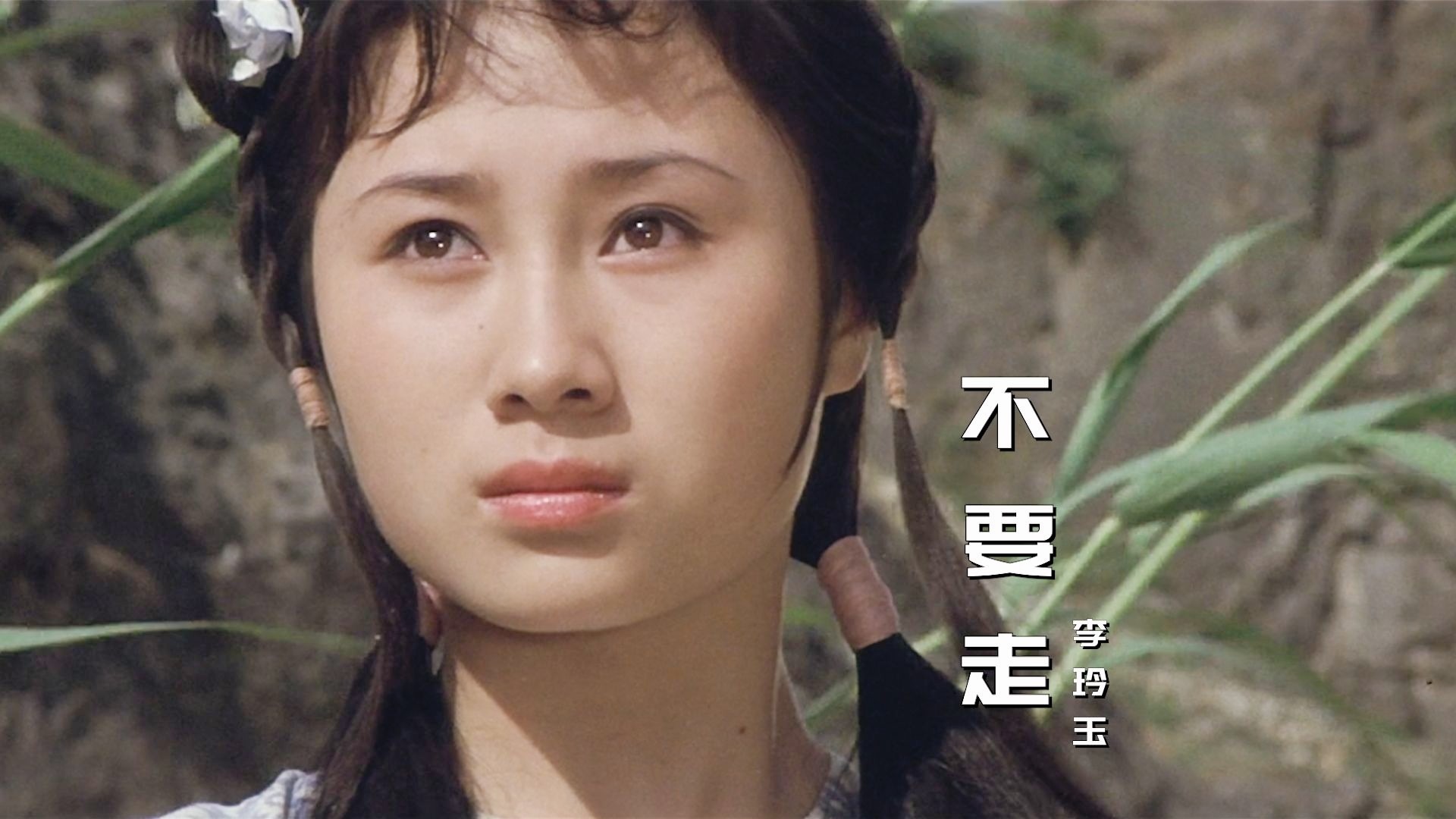 李玲玉经典老歌《不要走》，旋律优美动听，歌声让人陶醉