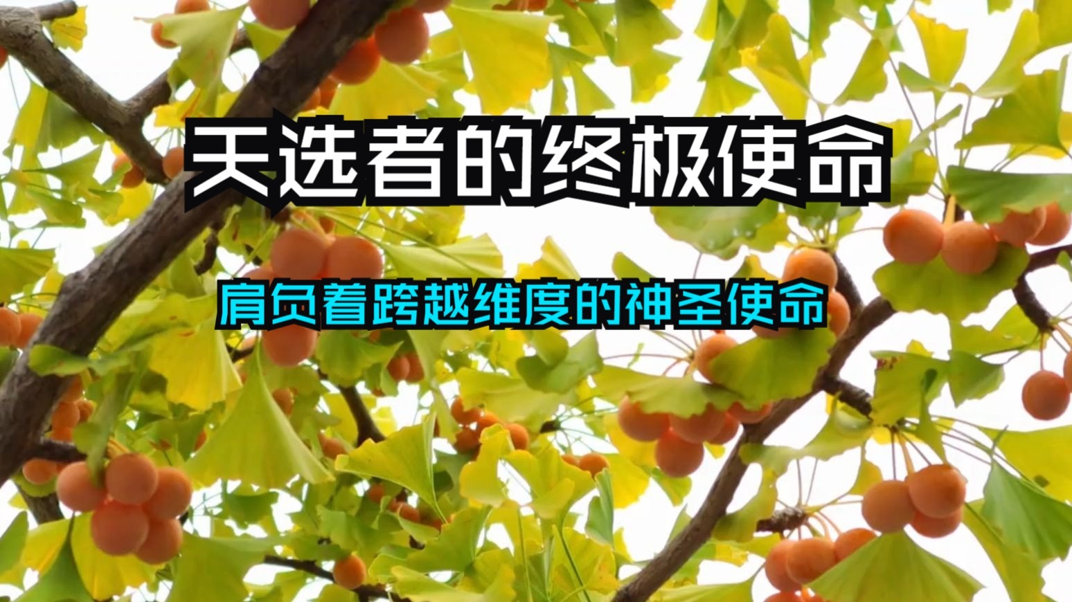 天选者的终极使命已然降临！宇宙本是鲜活的高维生命体，我们绝非宇宙尘埃！被宇宙精准召唤的觉醒者，正是高维觉醒的核心关键，肩负着跨越维度的神圣使命！