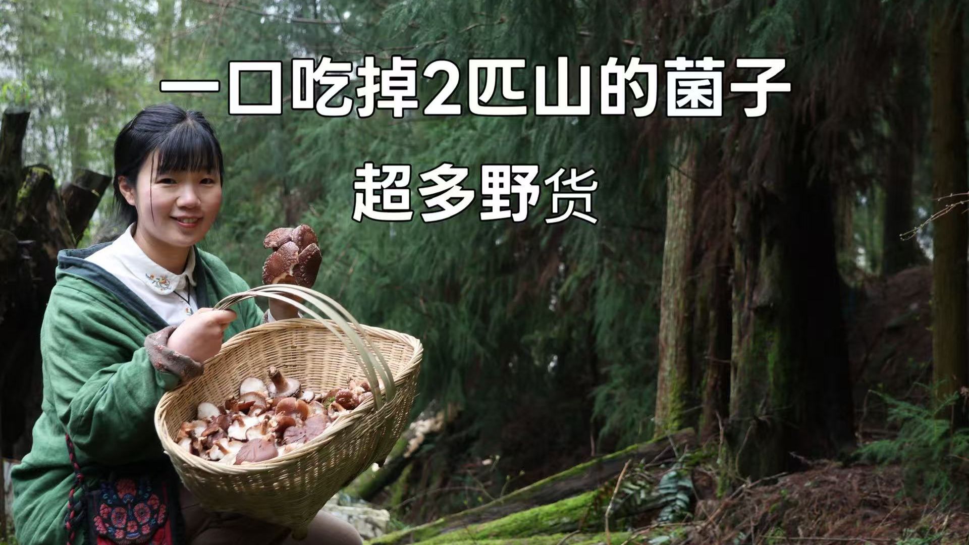 超多野货，2匹山里的“金元宝”充满森林味道，看看有没有价值