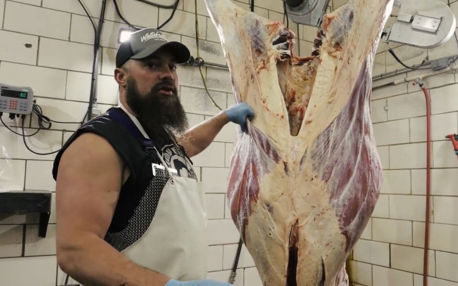 【大胡子屠夫】如何正确地把一头牛剥皮和分解处理