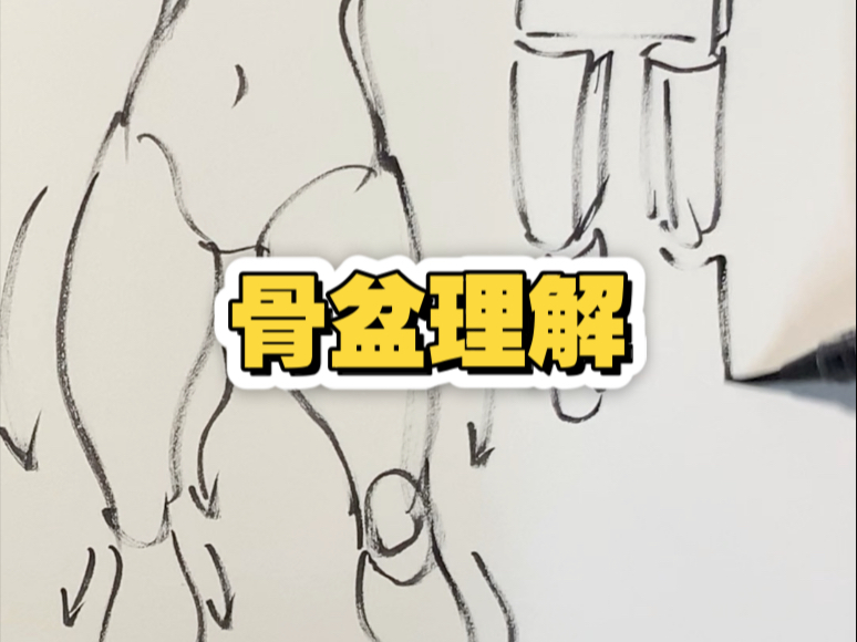 骨盆的简化理解