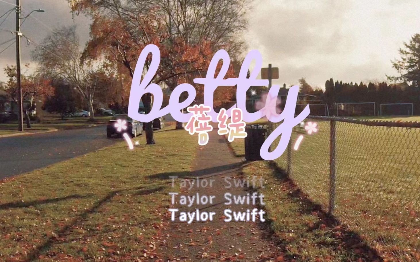 【𝑓𝑜𝑙𝑘𝑙𝑜𝑟𝑒】betty - Taylor Swift 歌词版MV 特效中字 民俗里村味最浓的歌 三角恋故事终篇