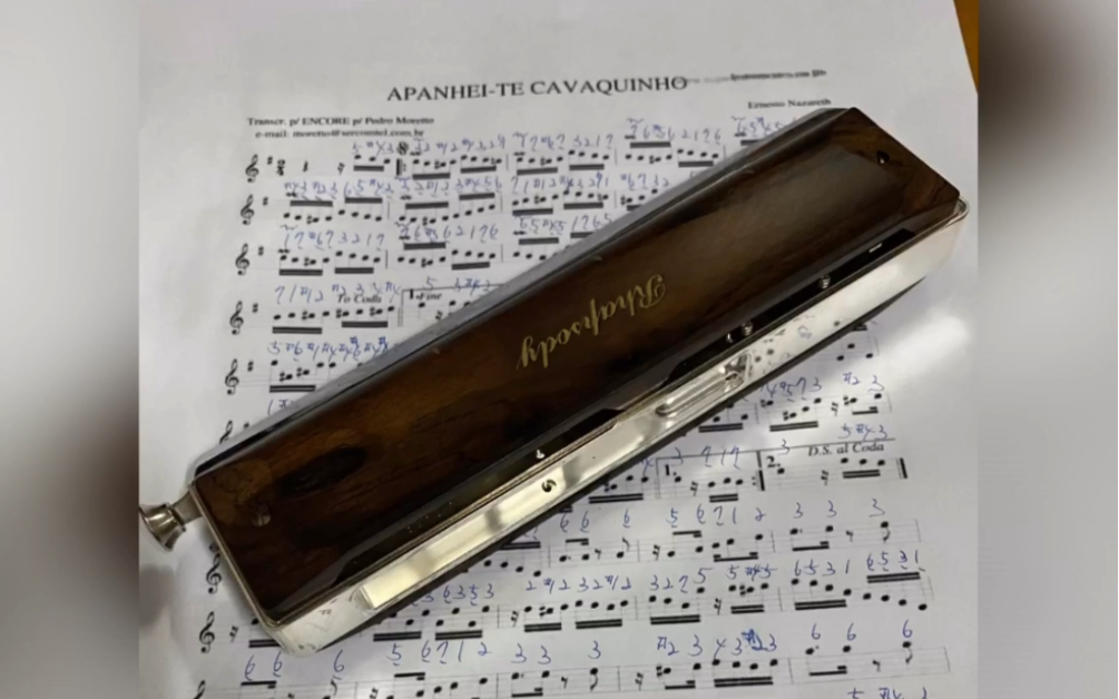 口琴演奏，曲目：Apanhei-te Cavaquinho，使用口琴：Hohner MK改will's 