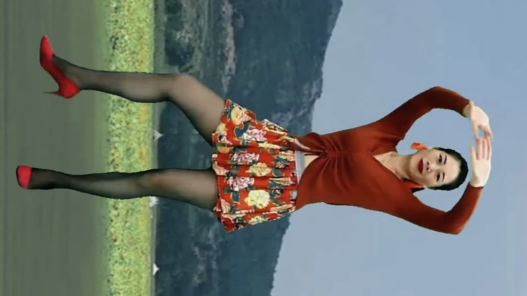 197. 小君广场舞专栏分享家