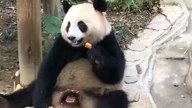 c5d8c0b21ed6c6899e431c5f5b10965559e8fe40.jpg@280w_158h_1c_100q.jpg