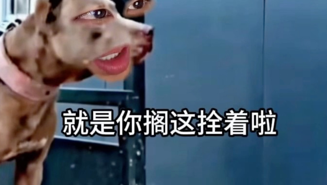 《它还是没精过我》