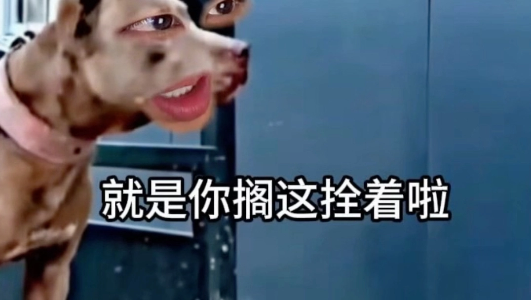 《它还是没精过我》 缩略图