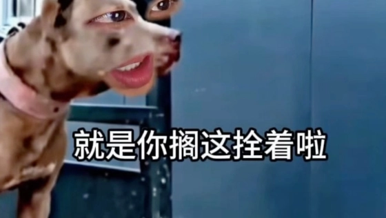 《它还是没精过我》