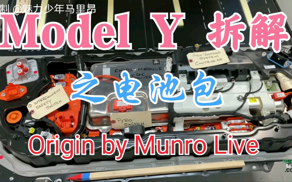 特斯拉 Model Y 拆解 之打开电池包对比 Model 3 Munro Live