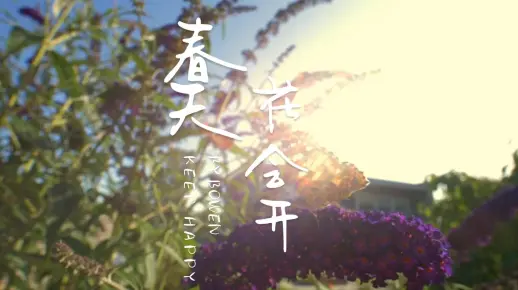 春天花会再开伴奏