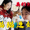 3个举动，让猫咪狠狠爱上我