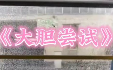 《大胆尝试》