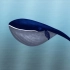 鲸Whale