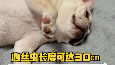 c604813482a2916233c38233243d3971007c9cab.jpg@480w_270h_1c