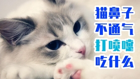 c6053214d68876e9e38699a4b108b28314167a09.jpg@280w_158h_1c_100q.jpg