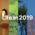 AHY - Life in 2019 | 生活 2019