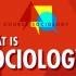 【中英字幕】Crash Course 社会学 01. 什么是社会学?
