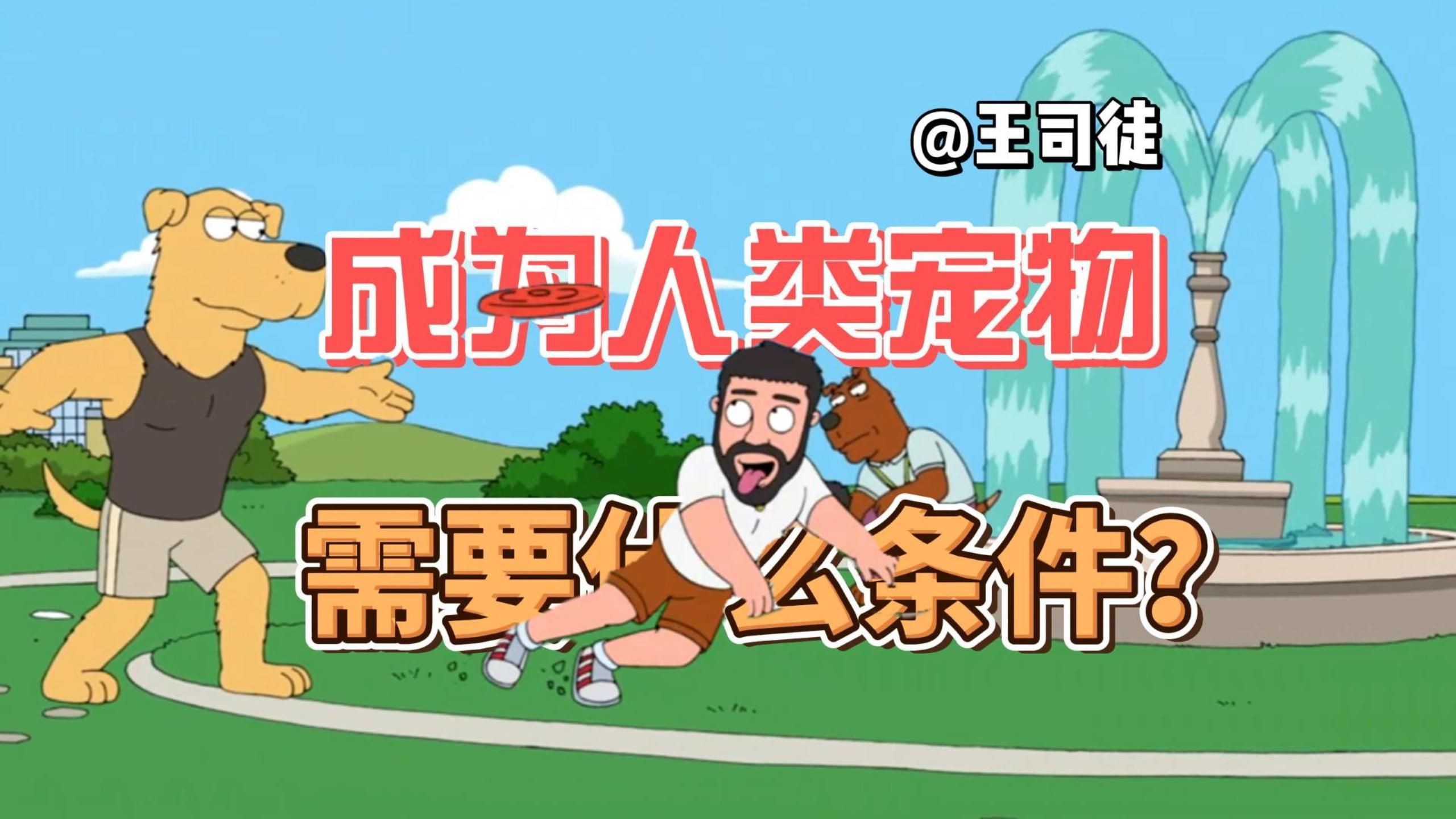 想成为猿神的宠物，动物们需要什么条件？