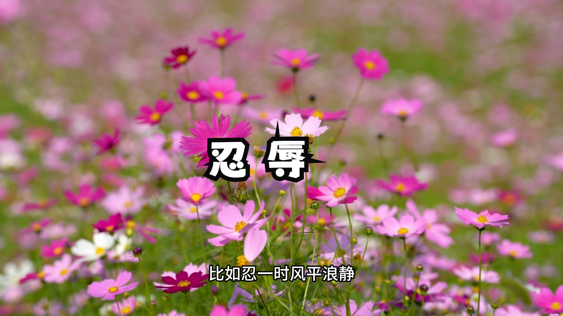 大部分人都误解了“忍辱”的真实含义！它可不是让你打不还手，骂不还口！这样只会让你受的伤害更大！