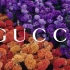 Share丨Gucci 