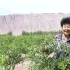 新疆为什么发展越来越好？李奶奶坦言道，离不开国家的好政策！