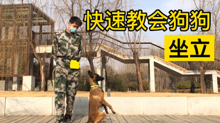c65a9181075efdb3fd7ecc27ad40ffb97d51430e.jpg@310w_174h_1c_100q.jpg