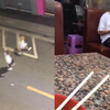 小情侣路边闹分手，女生愤怒大喊我们“不可能”，随后一幕笑喷了