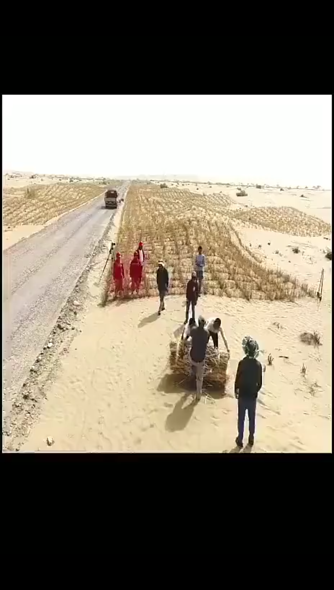 沙漠公路保护神—草方格，原来是这样种的！