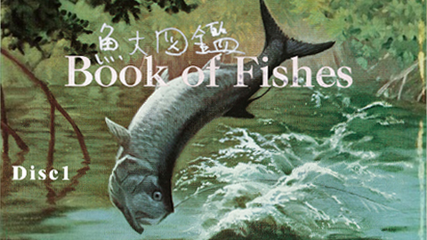 c67fe40c30d79e412b58619e198e33d4e24f9e41.png@480w_270h_1c
