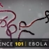 【英文科普】Ebola埃博拉病毒 | 国家地理 | 中英字幕 | 无字幕｜英语字幕