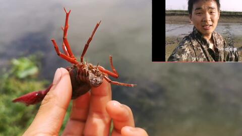 c6825c5690c7f03c9da9e0f070048848047dd7b7.jpg@480w_270h_1c