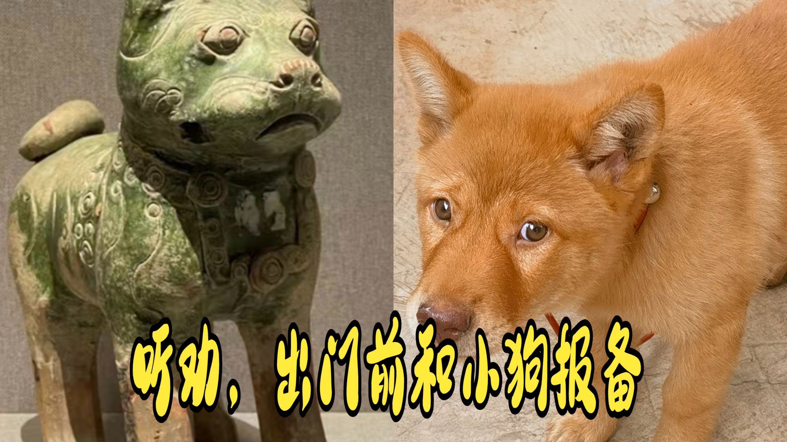 听网友建议，出门前和小狗说一声果然好多了，一直在没叫在门口等我回家