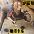 俄罗斯姑娘维修中国卡车