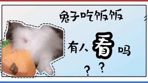 为什么很少有人吃兔子 c6b93791b60ba40856da7af42a6fbc4bf8e419c7.jpg@480w_270h_1c