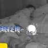 1岁多的宝宝醒后不哭不闹，坐在床上默念“妈妈上班，爸爸也上班
