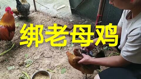 c6d971584663f9e2e2326d9051890c5d1877d66a.jpg@480w_270h_1c