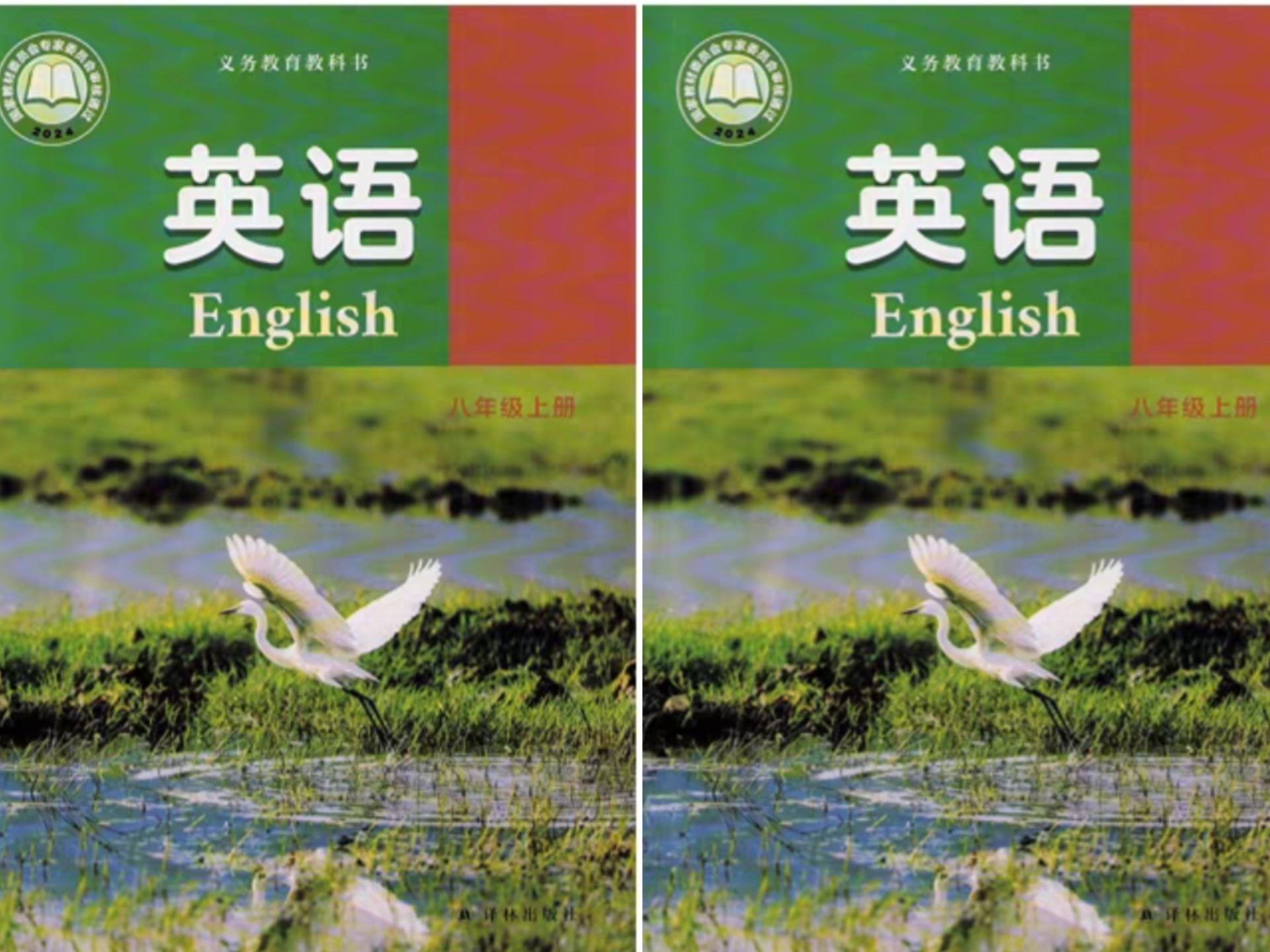 译林版八年级上册英语课本跟读听力磨耳朵丨课文朗读 翻译知识点 课文背诵 单词 对话 语法 发音 音标 词汇