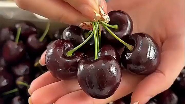 鲜甜车厘子，脆爽多汁尝尝