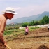农村没有年轻人种田了，实拍84岁老人田间干活，看着心酸