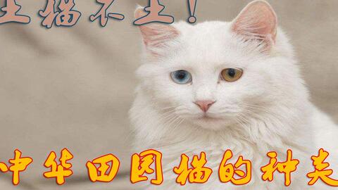 c700fa2c1585b92c064c0b82316279b00a9e12f2.jpg@480w_270h_1c
