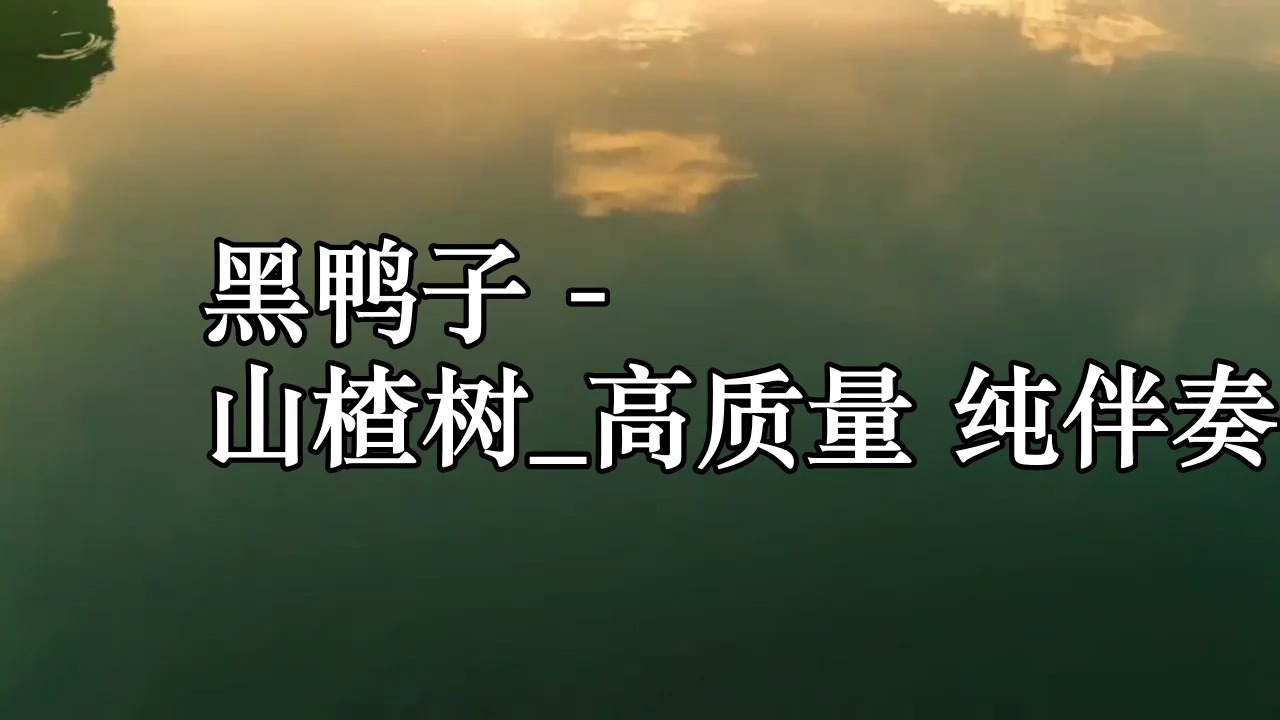 黑鸭子 - 山楂树_高质量 纯伴奏