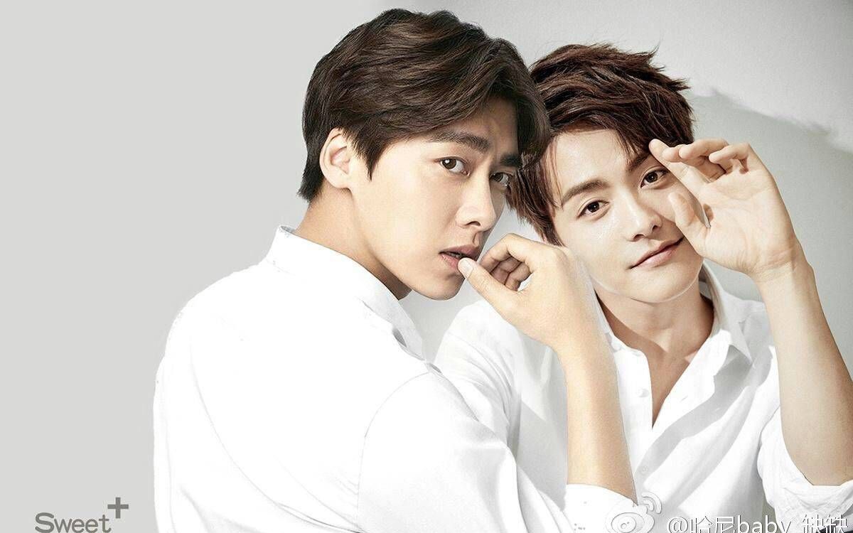 马天宇&李易峰cp