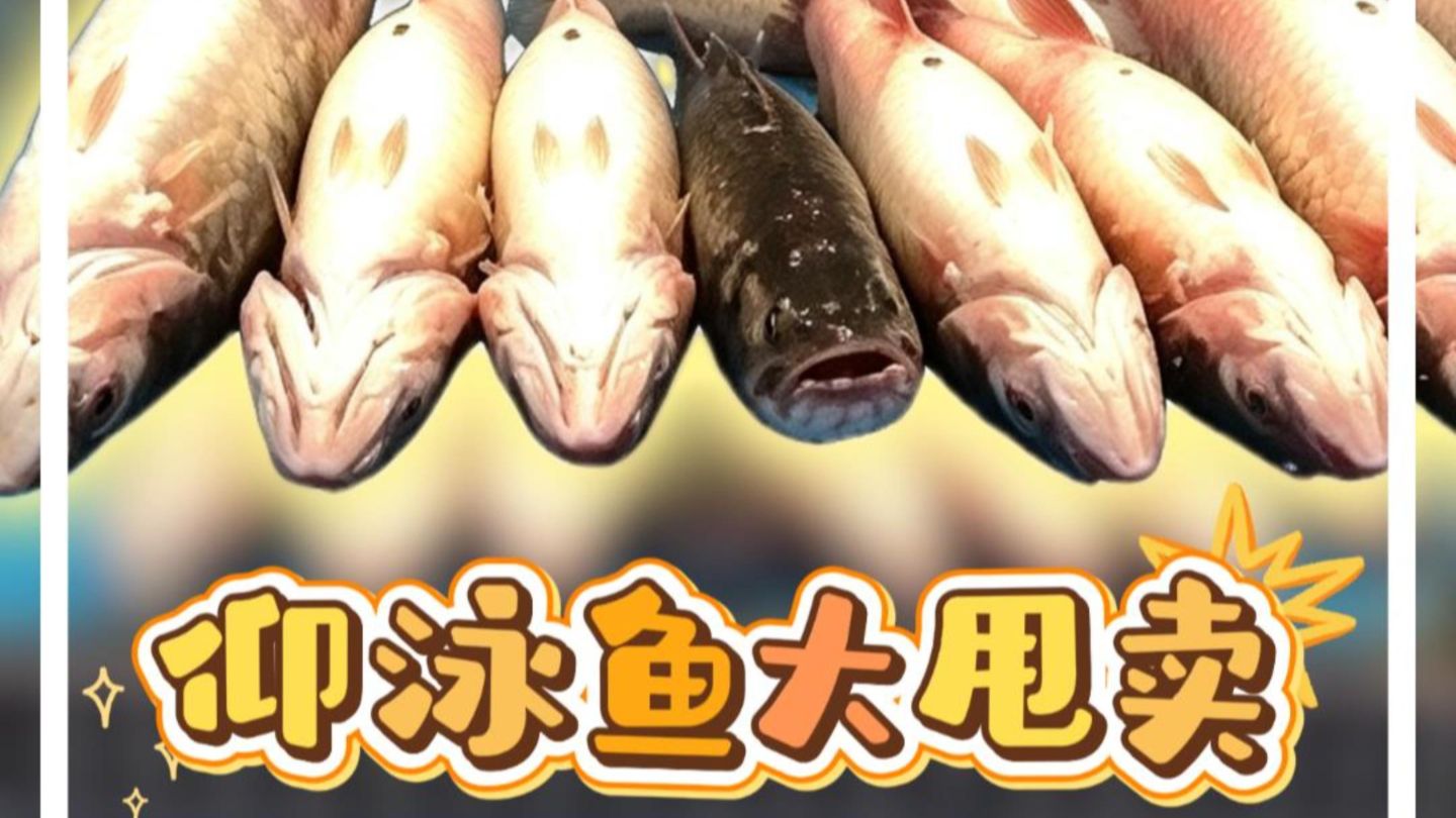 两极反转？