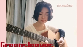 古典吉他绿袖子曲谱_绿袖子吉他琴谱(4)