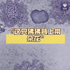 这只狒狒背上带朵花