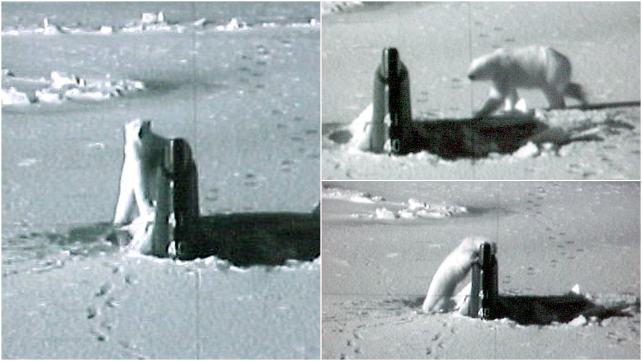 在南海出事的美国核潜艇被曝黑历史:曾在破冰上浮后被北极熊狂舔
