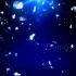 大屏素材 s456 蓝色星空梦幻星空白色羽毛飘落舞台LED背景视频素材 动态视频 舞台背景视频
