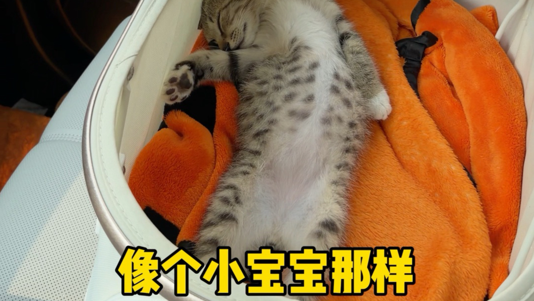 母爱的回响让我深深的触动