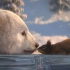 优雅与可爱并存！超萌的小熊与松鼠上演冰上双人舞