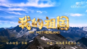 喀秋莎曲谱手风琴_手风琴喀秋莎伴奏曲谱(4)